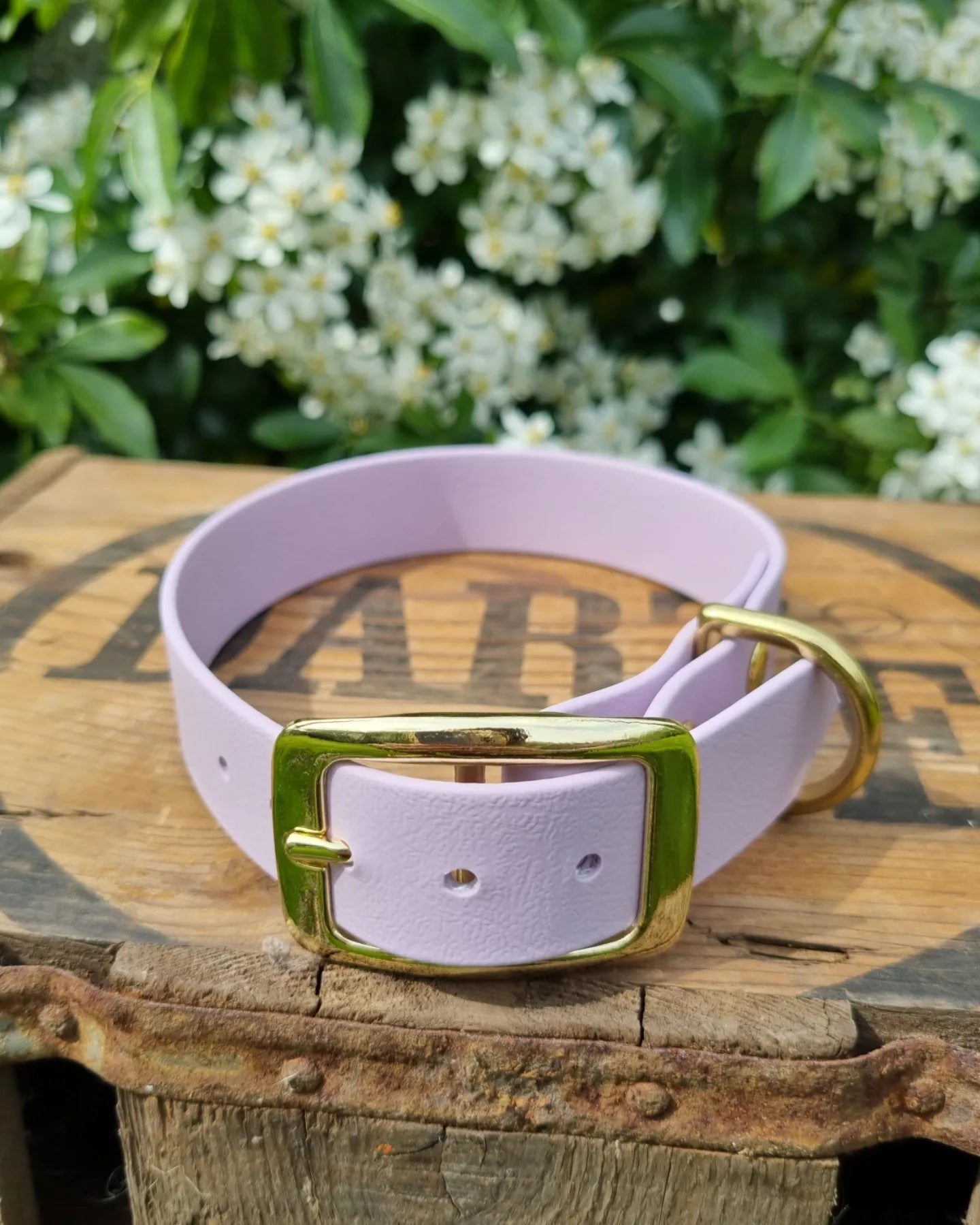Klassieke halsband - Pastel paars