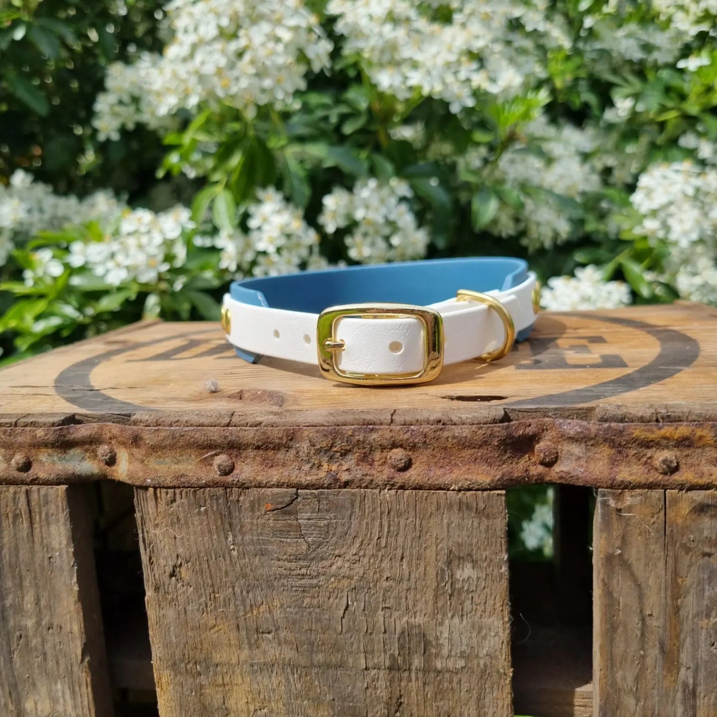 Tweekleurige halsbanden - wit-blauw