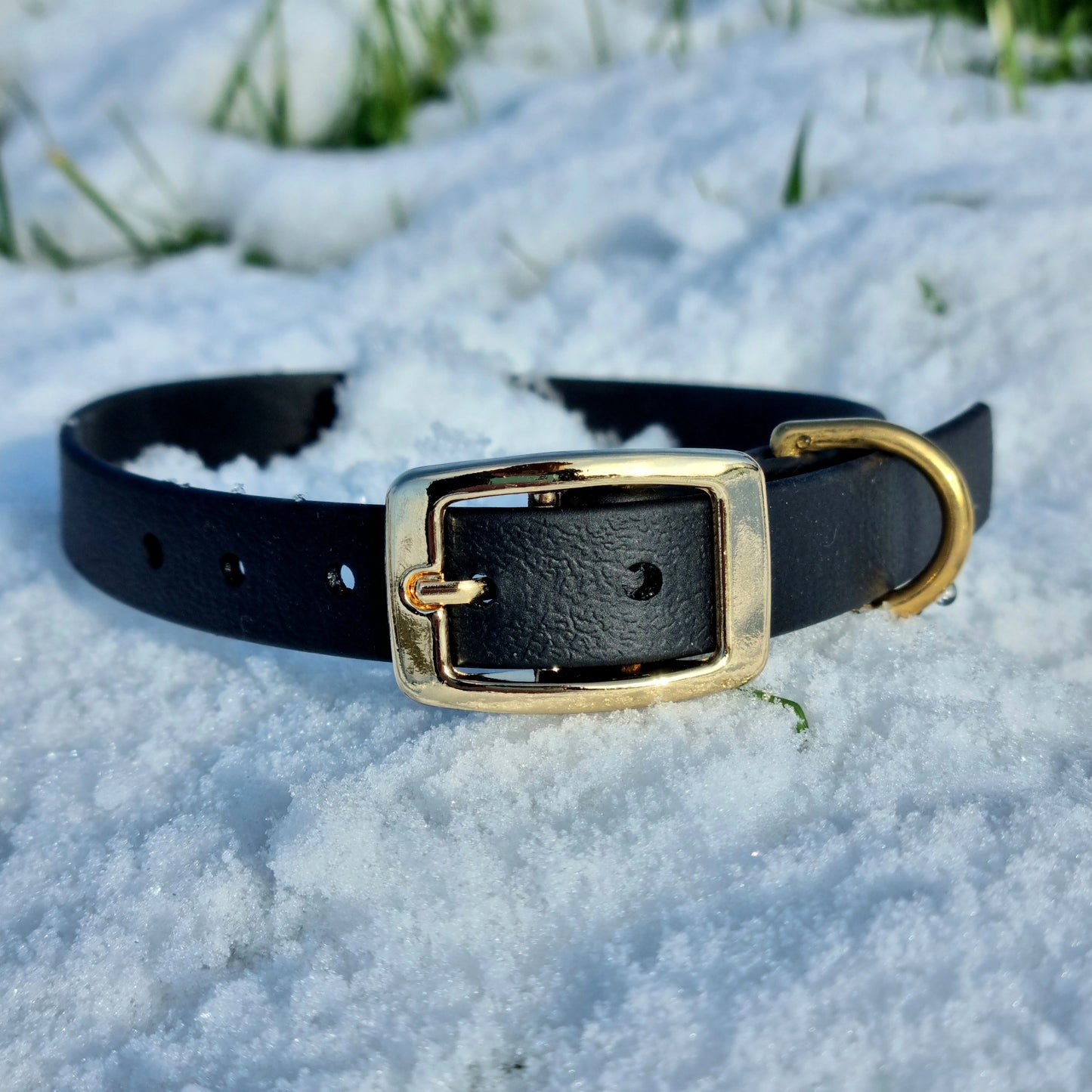 Klassieke halsband - Zwart