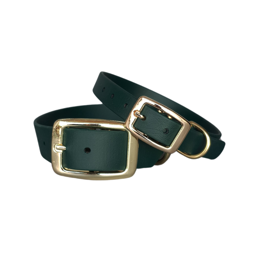 Klassieke donkergroene waterproof halsband met gouden gesp door Dazzling Dog