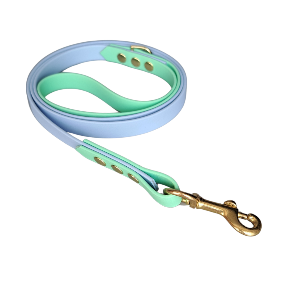 Waterproof biothane blauw groene leiband met goudkleurige hardware
