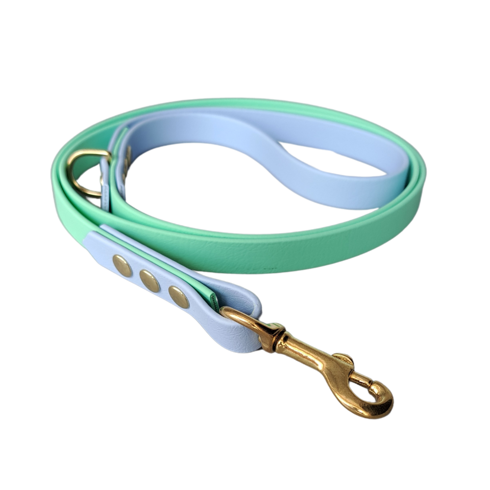 Waterproof blauw groene leiband met goudkleurige hardware