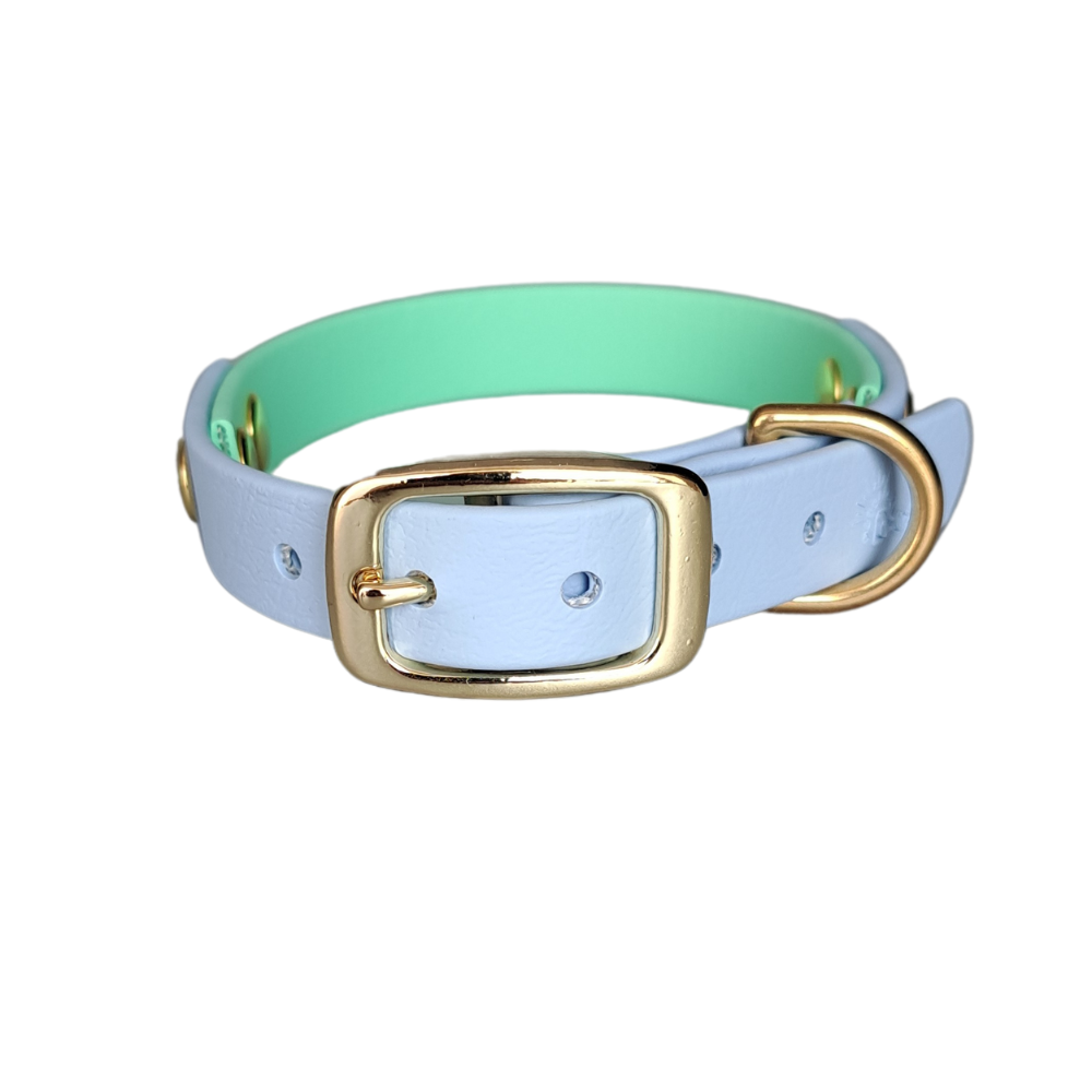 blauw groene waterproof halsband met gouden gesp