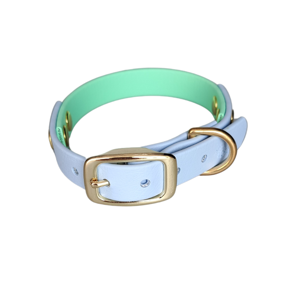 blauw groene waterproof halsband met gouden hardware