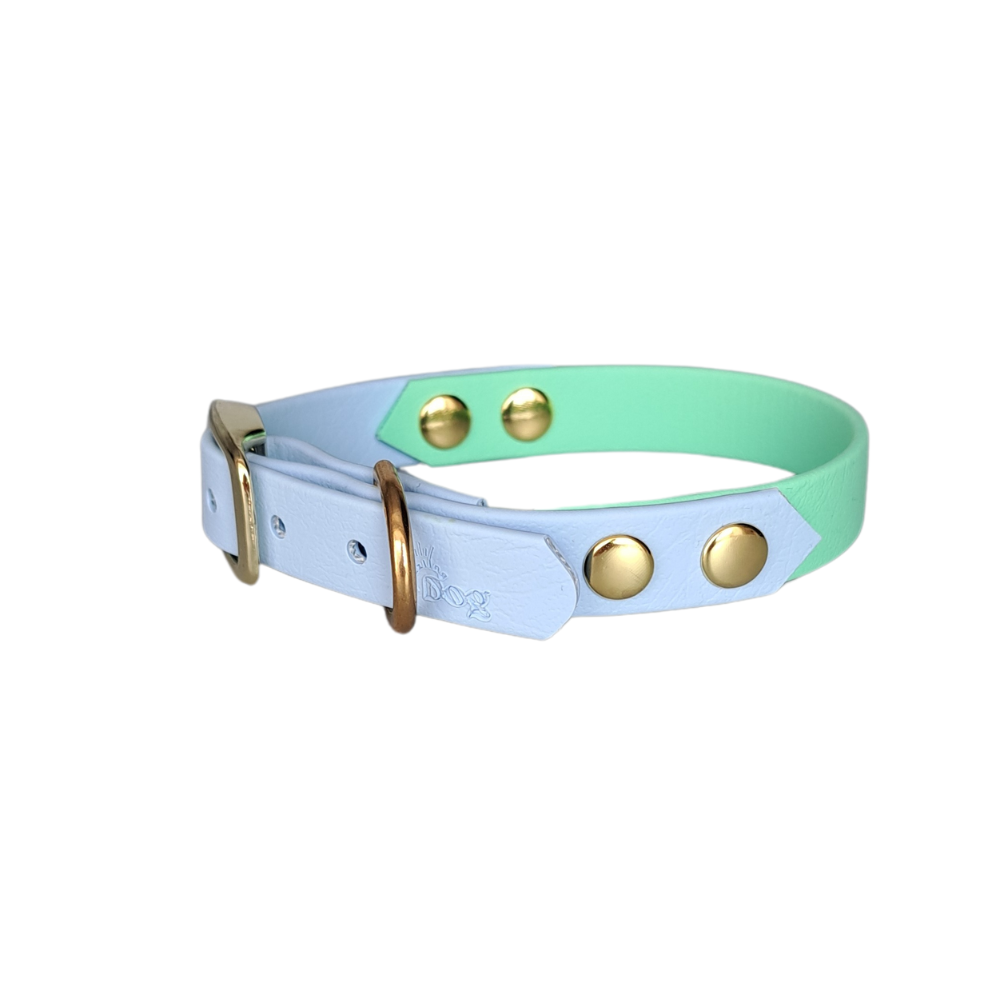 blauw groene waterproof halsband met gouden hardware