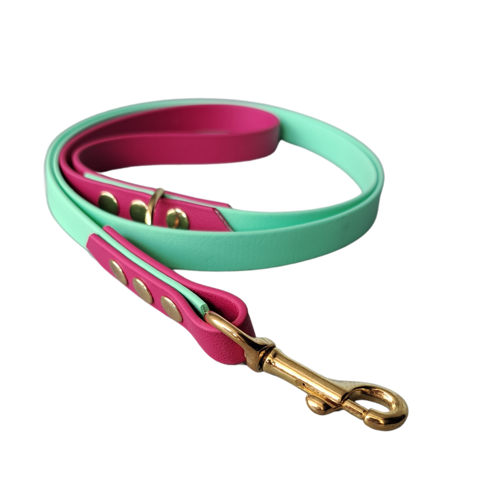 groen roze biothane leiband 1