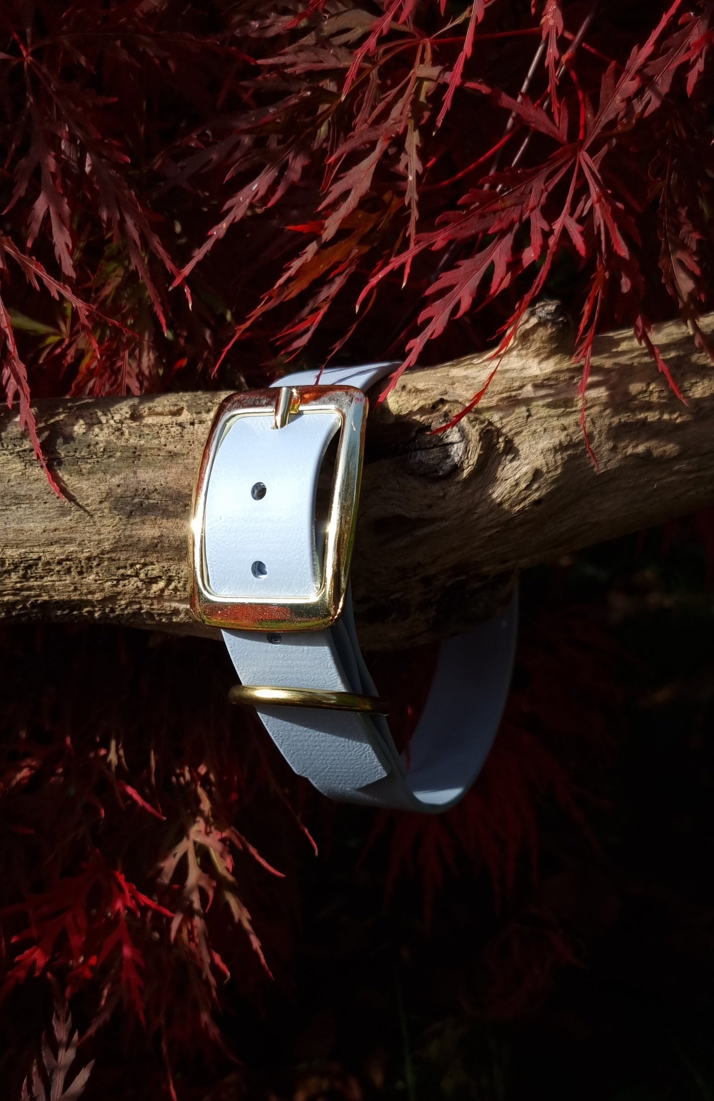 Klassieke pastelblauwe waterproof halsband met gouden gesp door Dazzling Dog