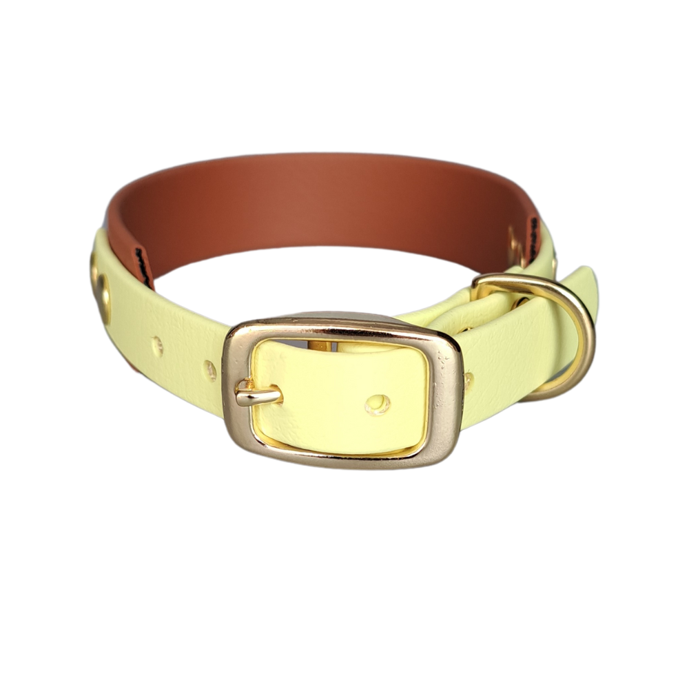 geel bruine halsband met gouden gesp