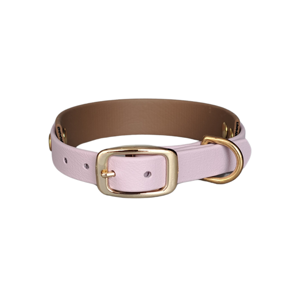 lila bruine halsband met gouden gesp