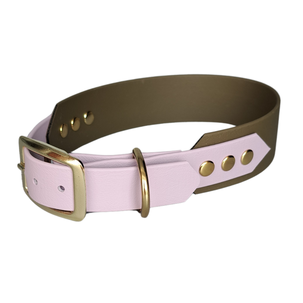 kaki halsband met paars en gouden hardware