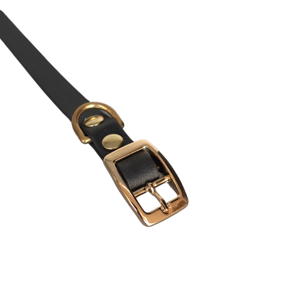 zwarte biothane halsband met gouden gesp