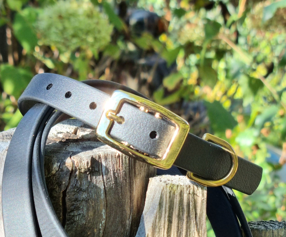 Zwarte biothane halsband en riem, waterproof