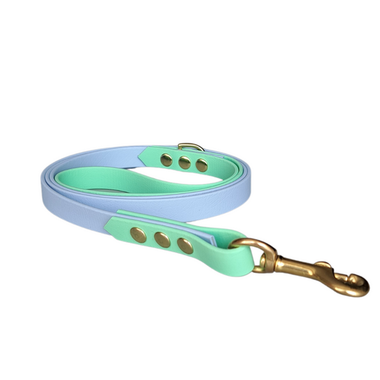 Biothane blauw groene leiband met goudkleurige hardware