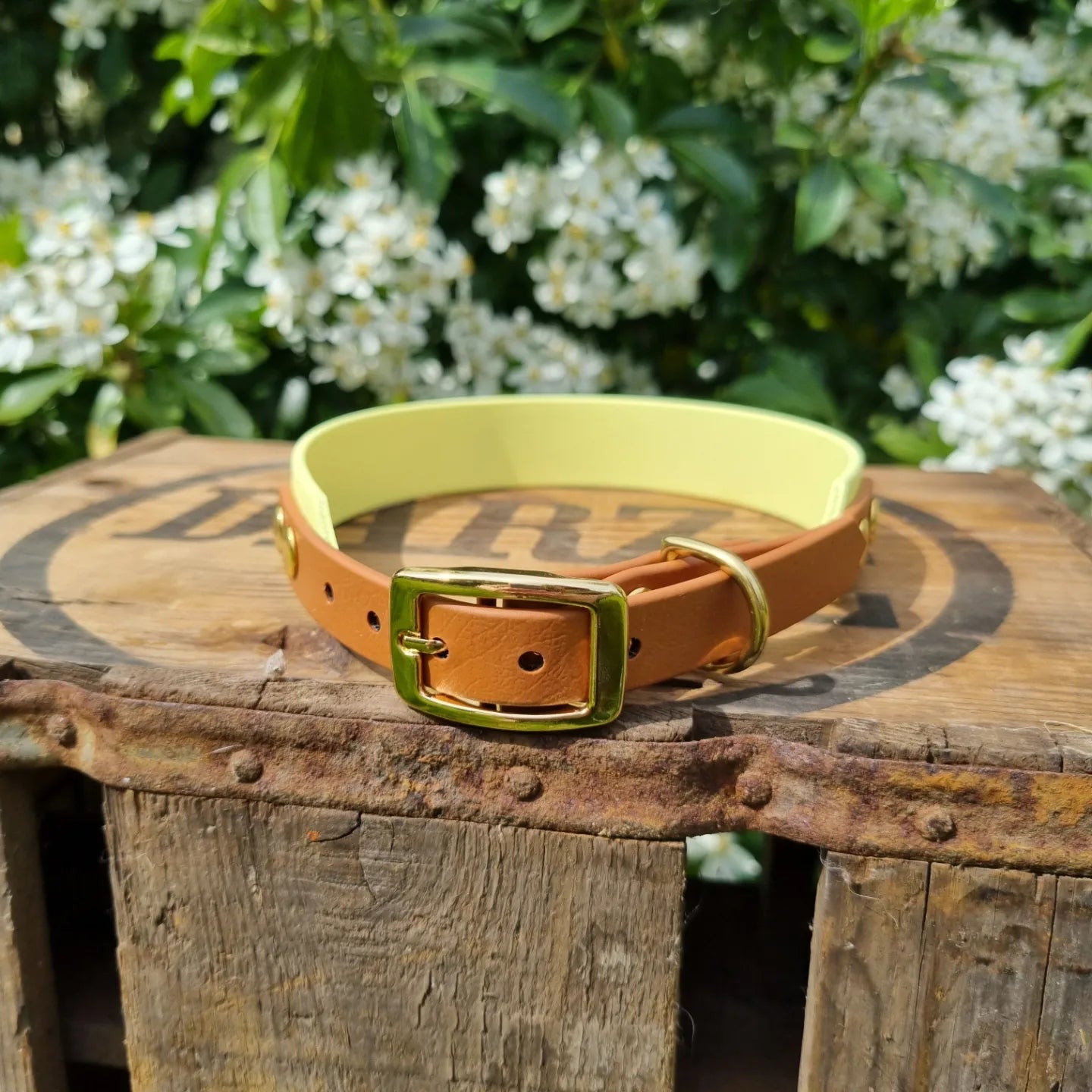 Handgemaakte geel bruine  waterdichte Biothane halsband met gouden gesp van Dazzling Dog.