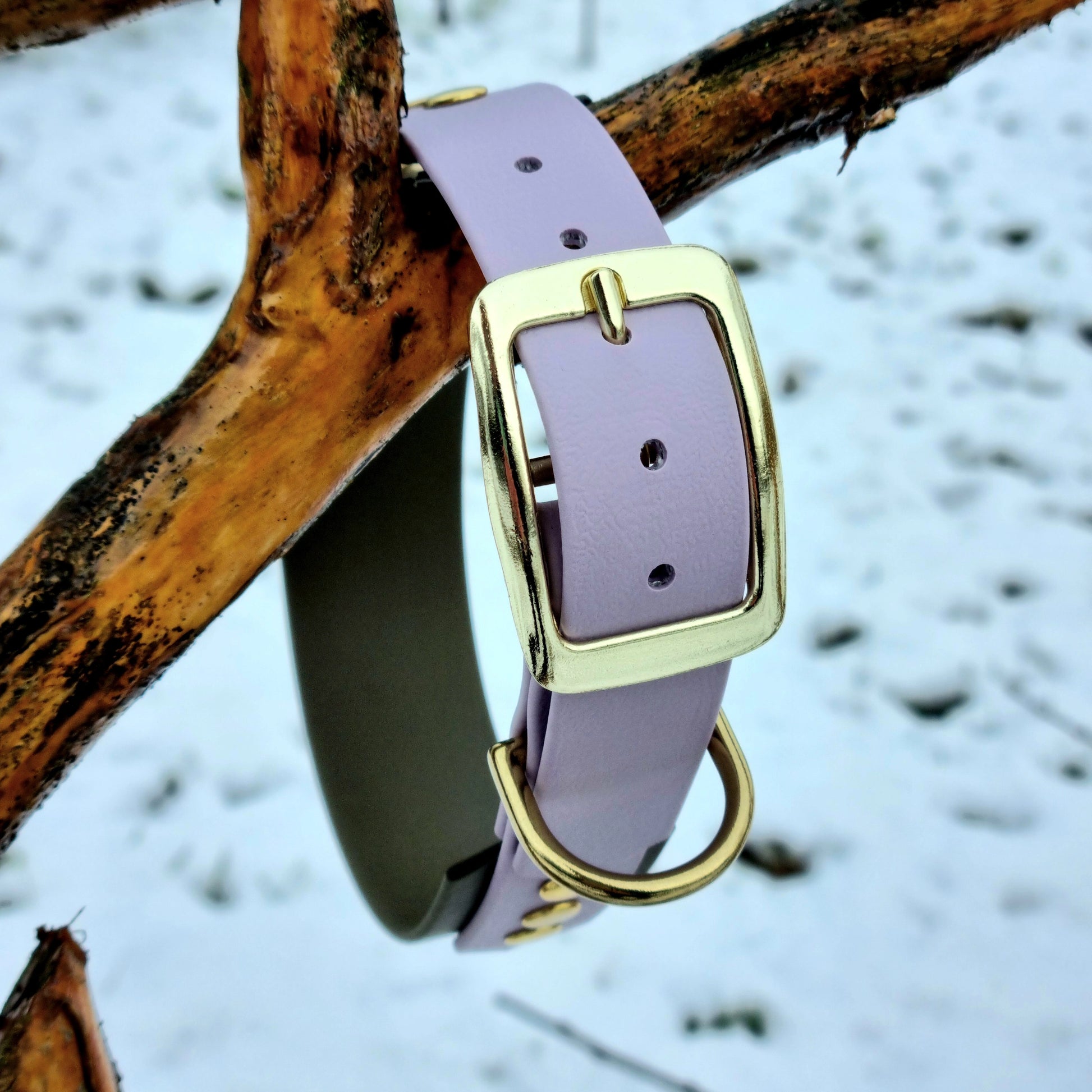 Handgemaakte pastelpaars olijf  waterdichte Biothane halsband met gouden gesp van Dazzling Dog.
