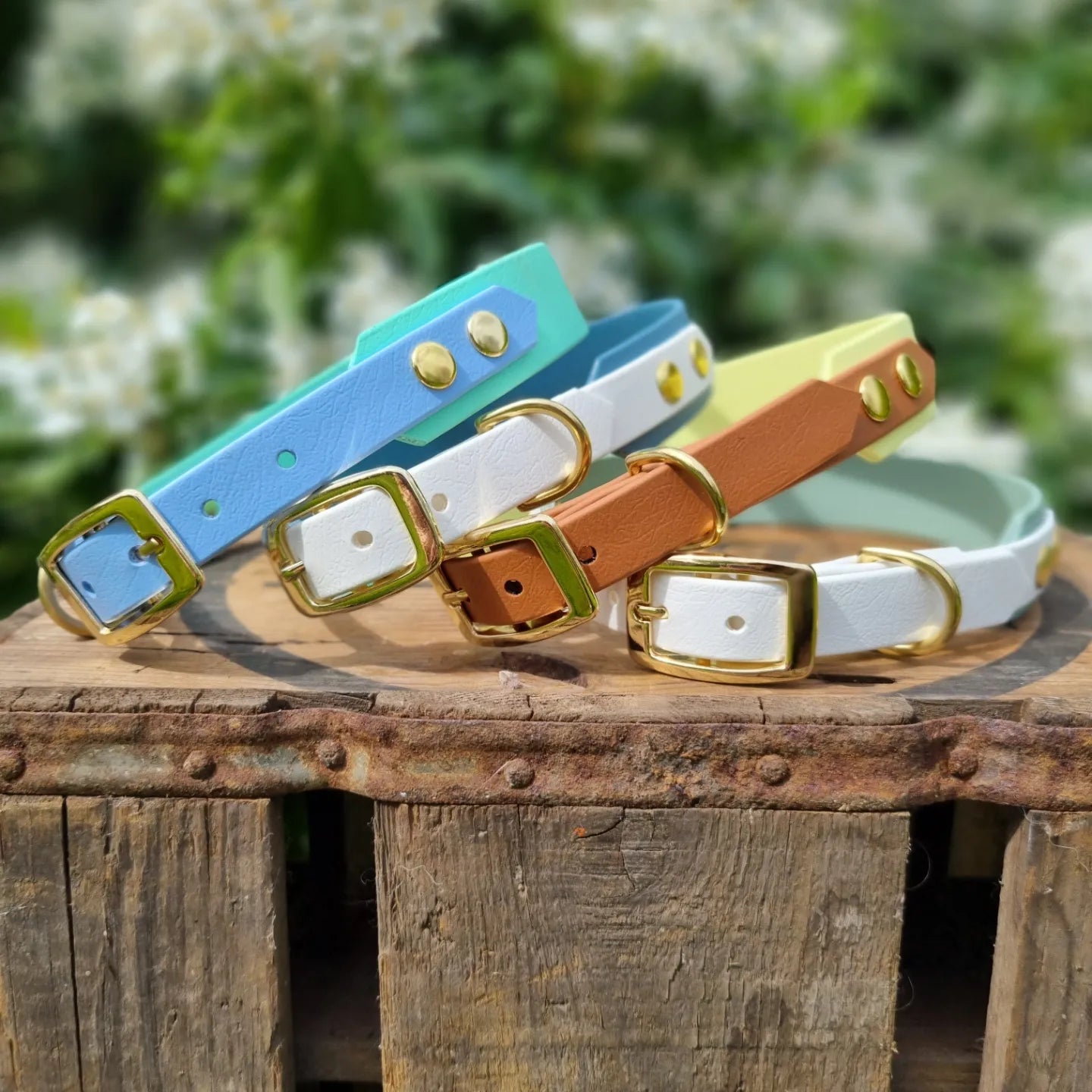 Handgemaakte waterdichte Biothane halsband met gouden gesp van Dazzling Dog.