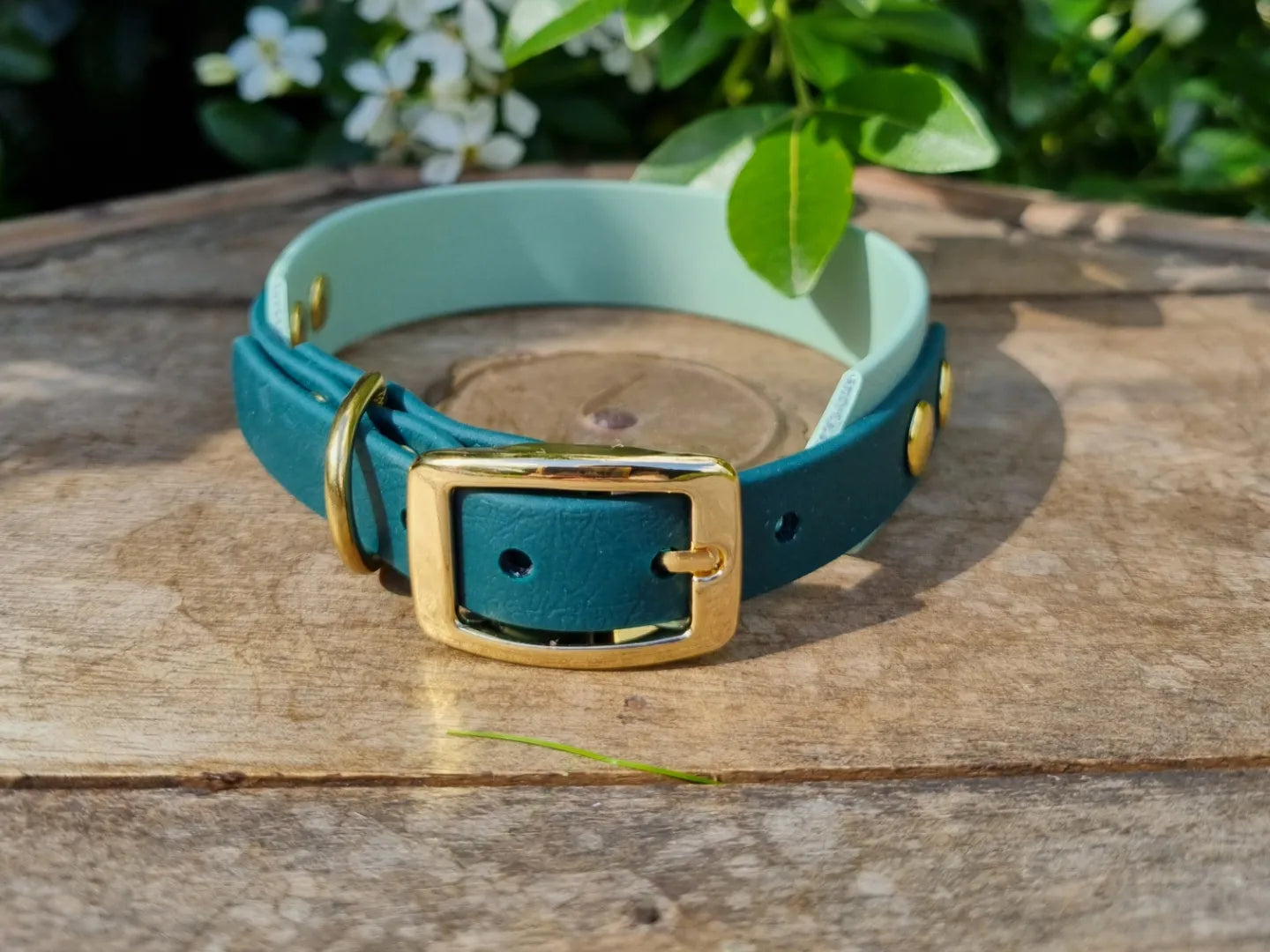Handgemaakte waterdichte Biothane halsband met gouden gesp van Dazzling Dog.