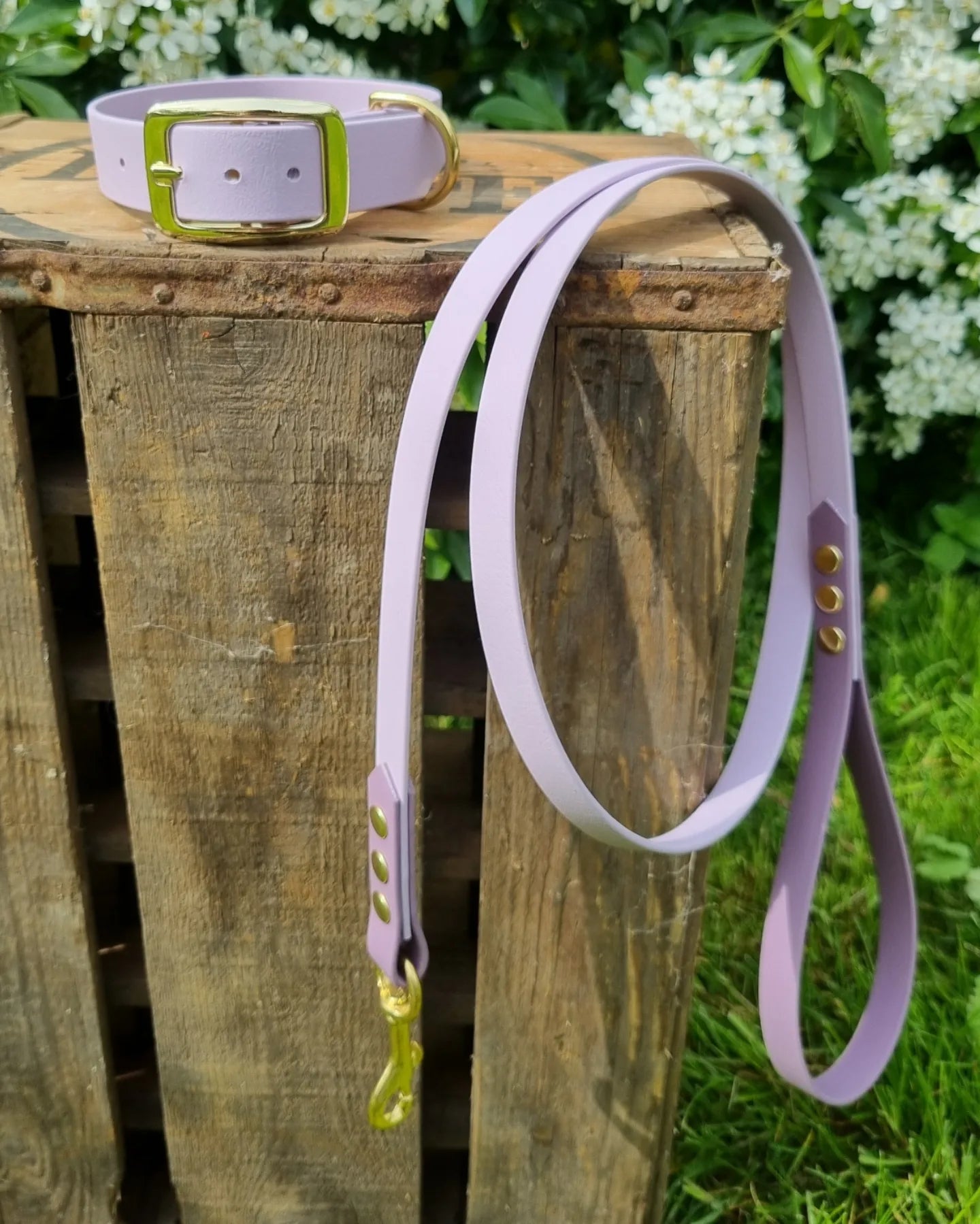 Klassieke halsband - Pastel paars