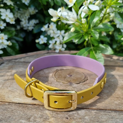 Tweekleurige halsbanden - goud-mauve