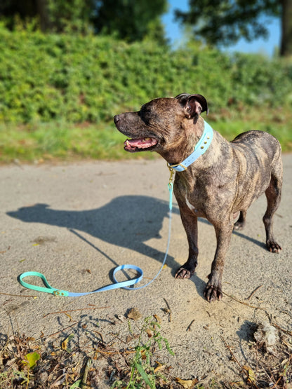 Handgemaakte blauw groene waterdichte Biothane halsband met gouden gesp van Dazzling Dog.