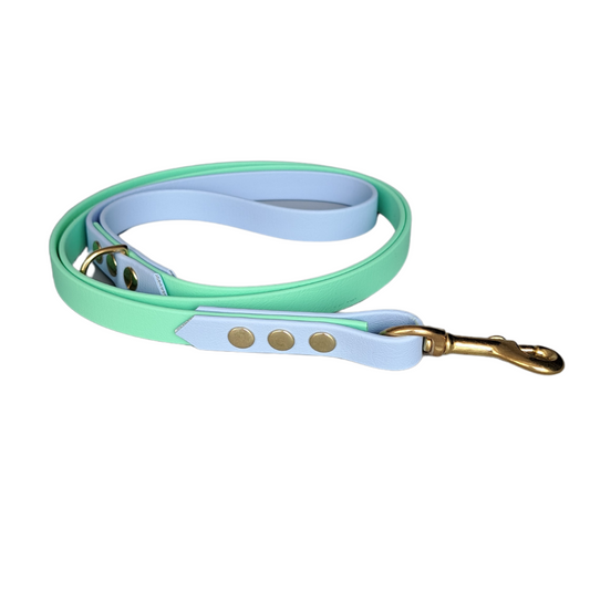Waterproof blauw groene leiband met gouden hardware