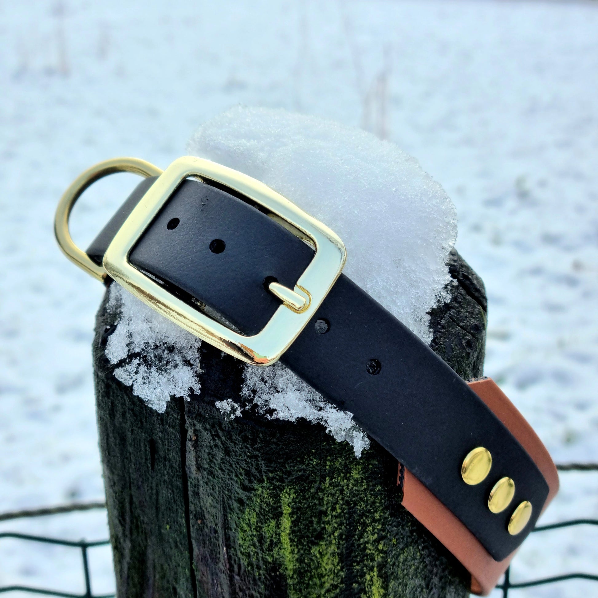 Handgemaakte waterdichte Biothane halsband met gouden gesp van Dazzling Dog.