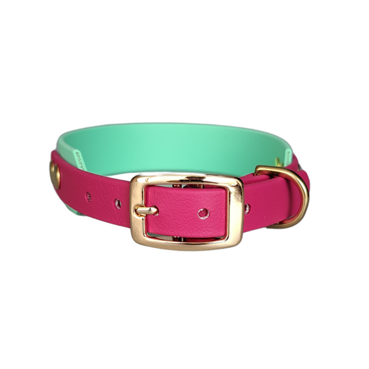 Handgemaakte waterdichte Biothane halsband met gouden gesp van Dazzling Dog.