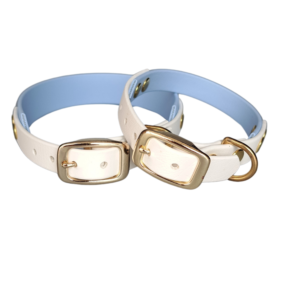 Handgemaakte waterdichte Biothane halsband met gouden gesp van Dazzling Dog.