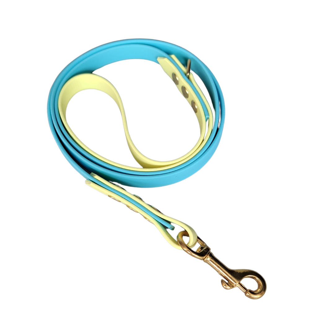 blauw gele leiband met gouden hardware