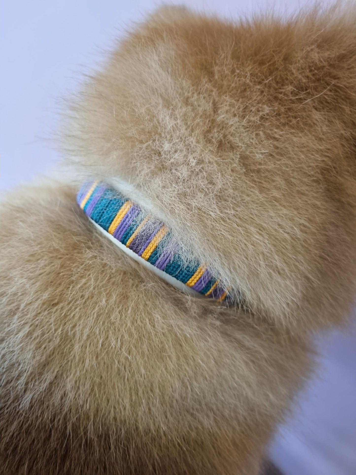 Handgeweven halsband uit de Cali Wave collectie, kleurrijk en waterproof, gemaakt door Dazzling Dog.