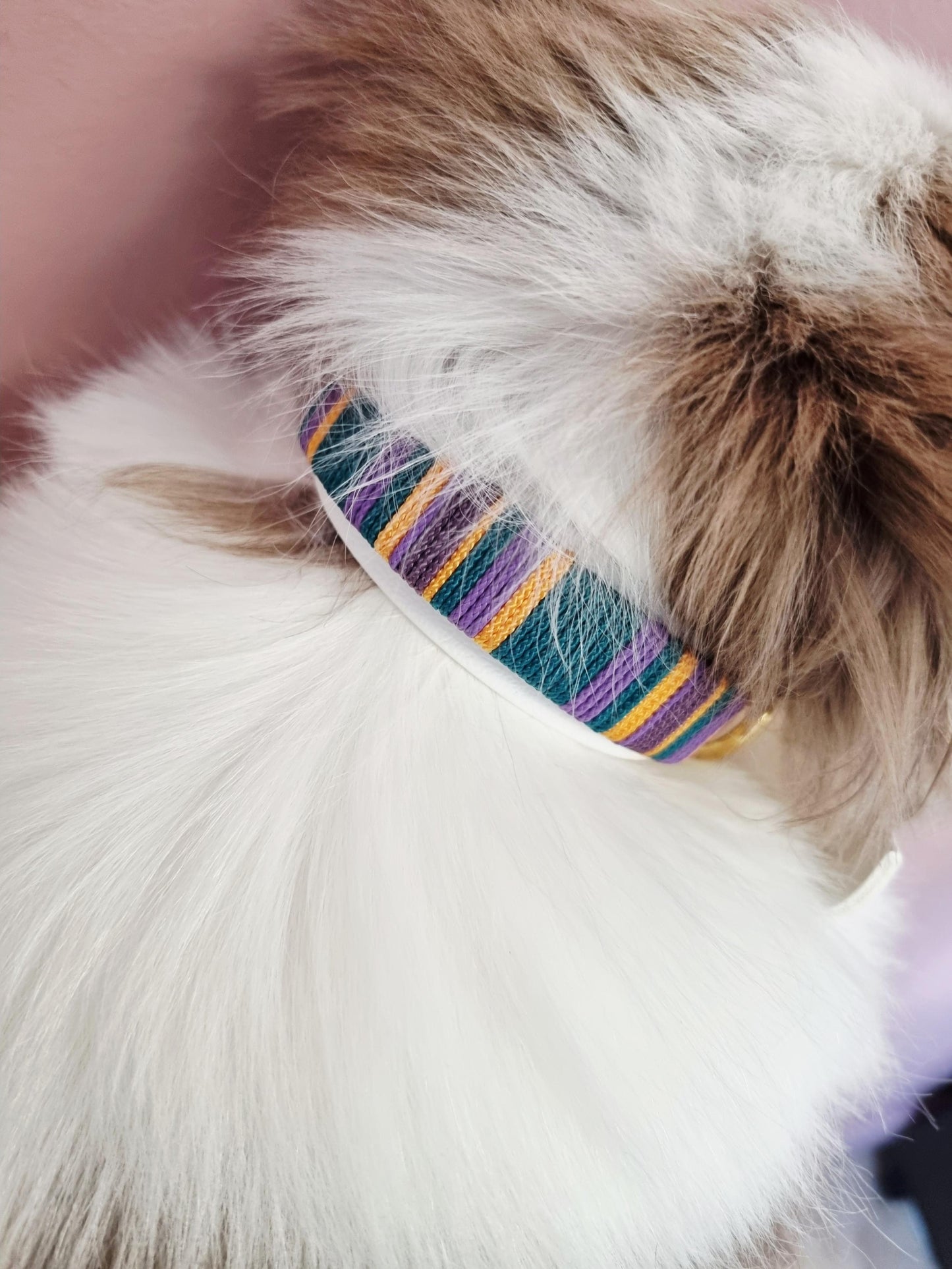 Handgeweven halsband uit de Cali Wave collectie, kleurrijk en waterproof, gemaakt door Dazzling Dog.