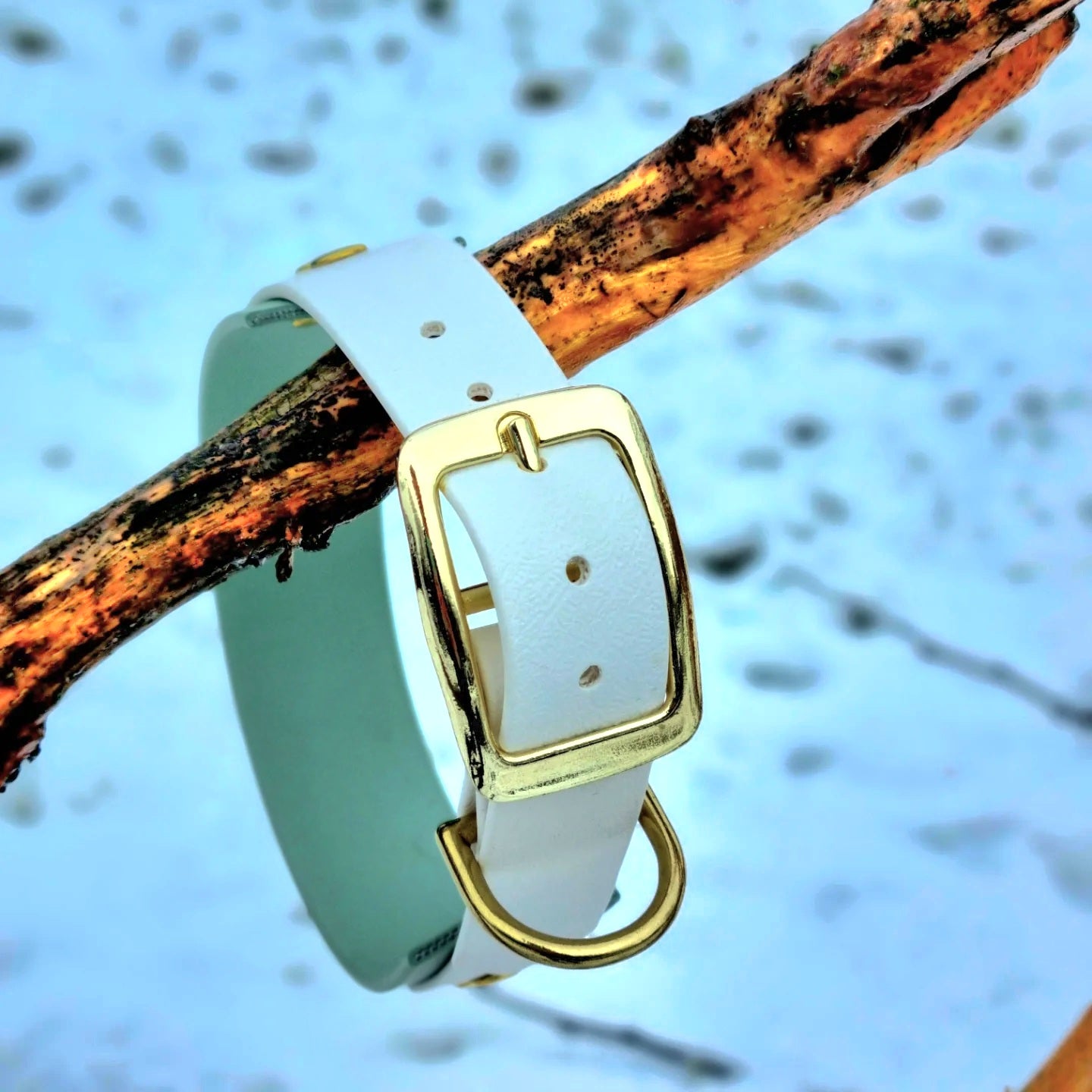 Handgemaakte waterdichte Biothane halsband met gouden gesp van Dazzling Dog.