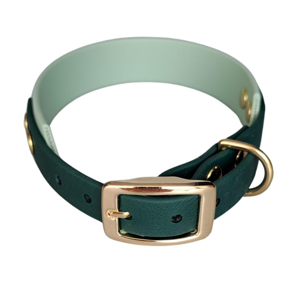 groene waterproof halsband met gouden gesp