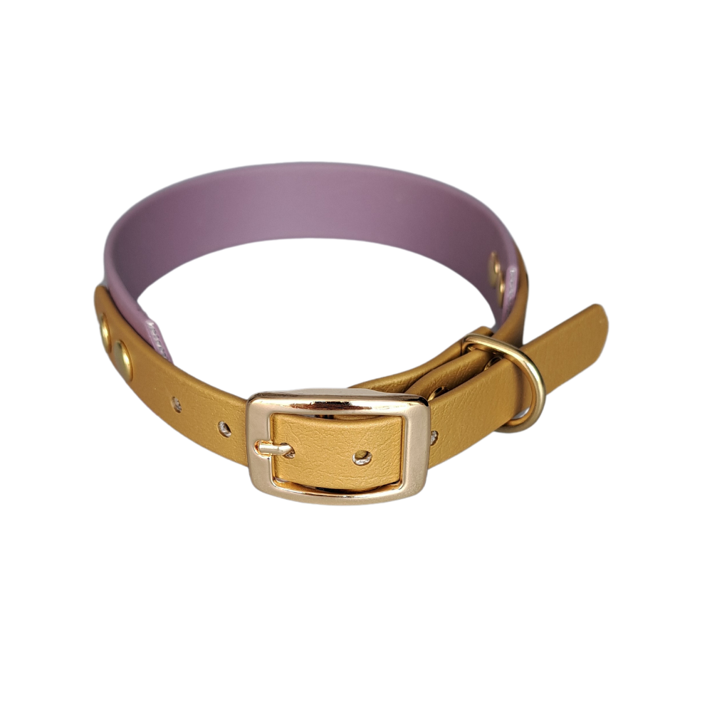 halsband goud mauve met gouden gesp