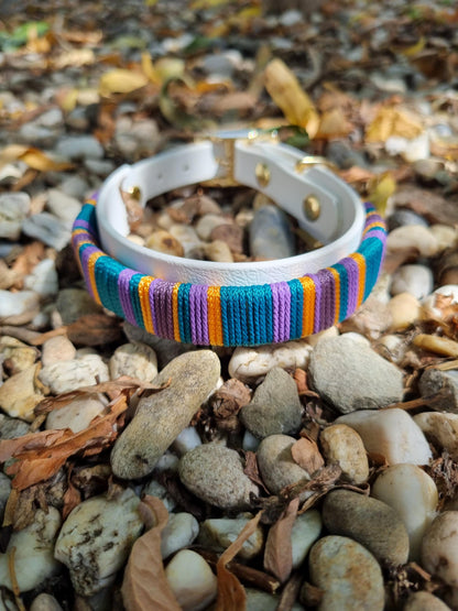 geweven halsband uit de Cali Wave collectie, kleurrijk en waterproof, gemaakt door Dazzling Dog.