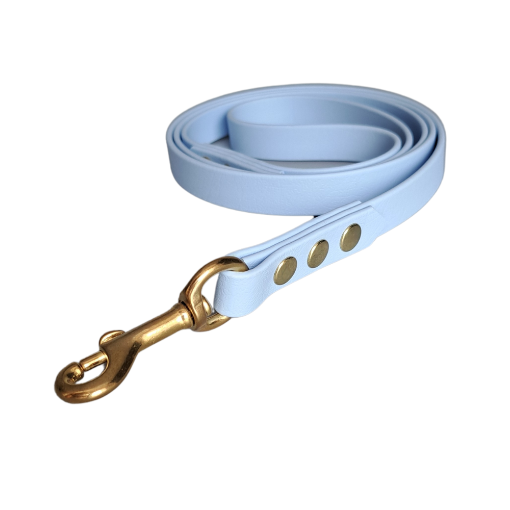 Sterke blauwe Biothane leiband met gouden hardware, handgemaakt door Dazzling Dog.