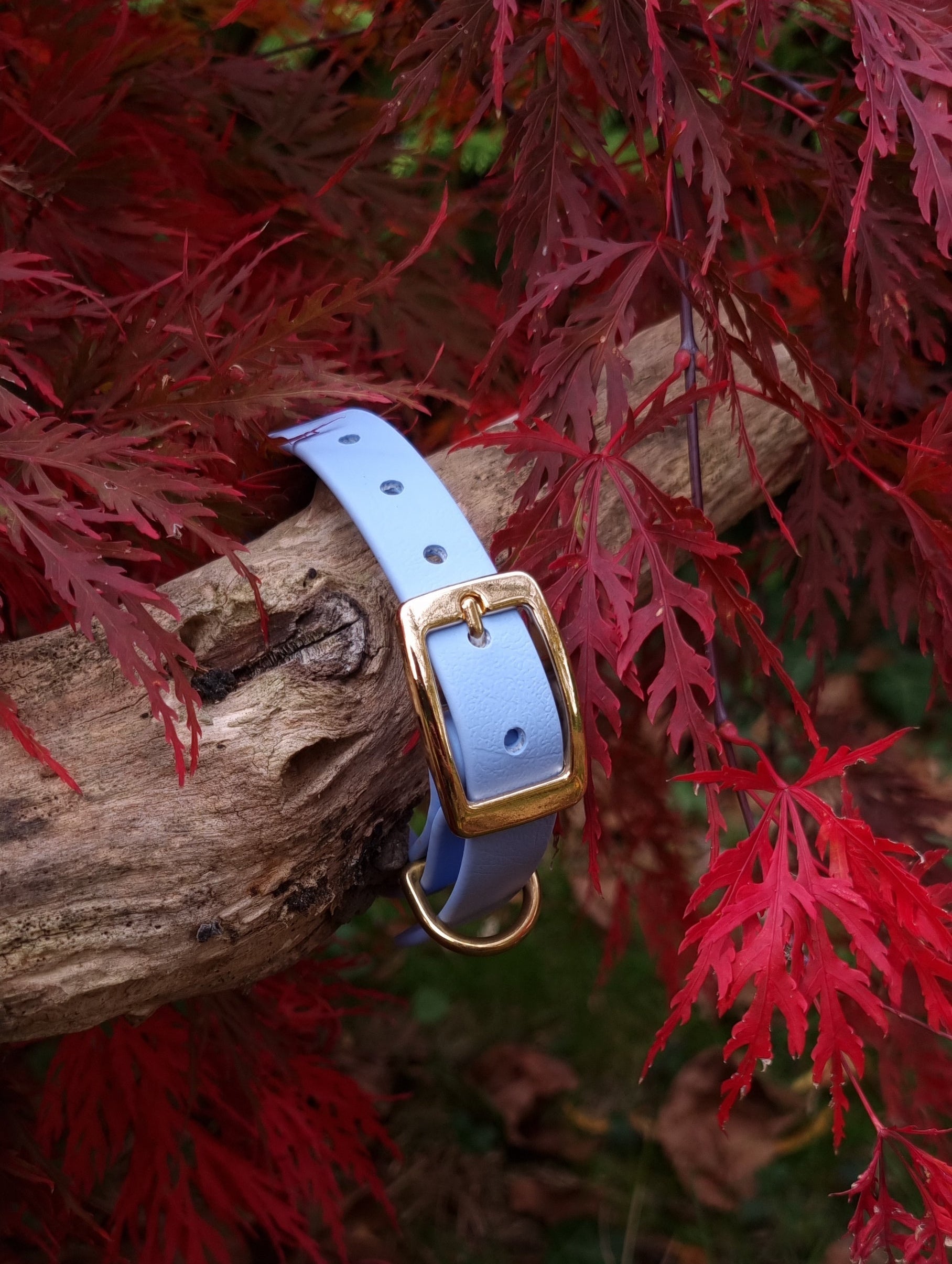 Klassieke blauwe waterproof  halsband met gouden gesp  door Dazzling Dog