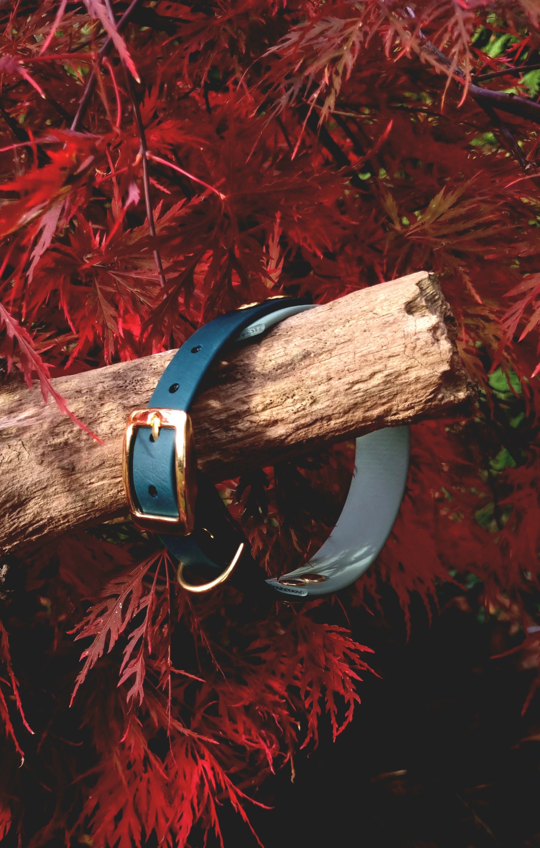 Handgemaakte waterdichte Biothane halsband in sage groen en donkergroen met gouden gesp van Dazzling Dog.