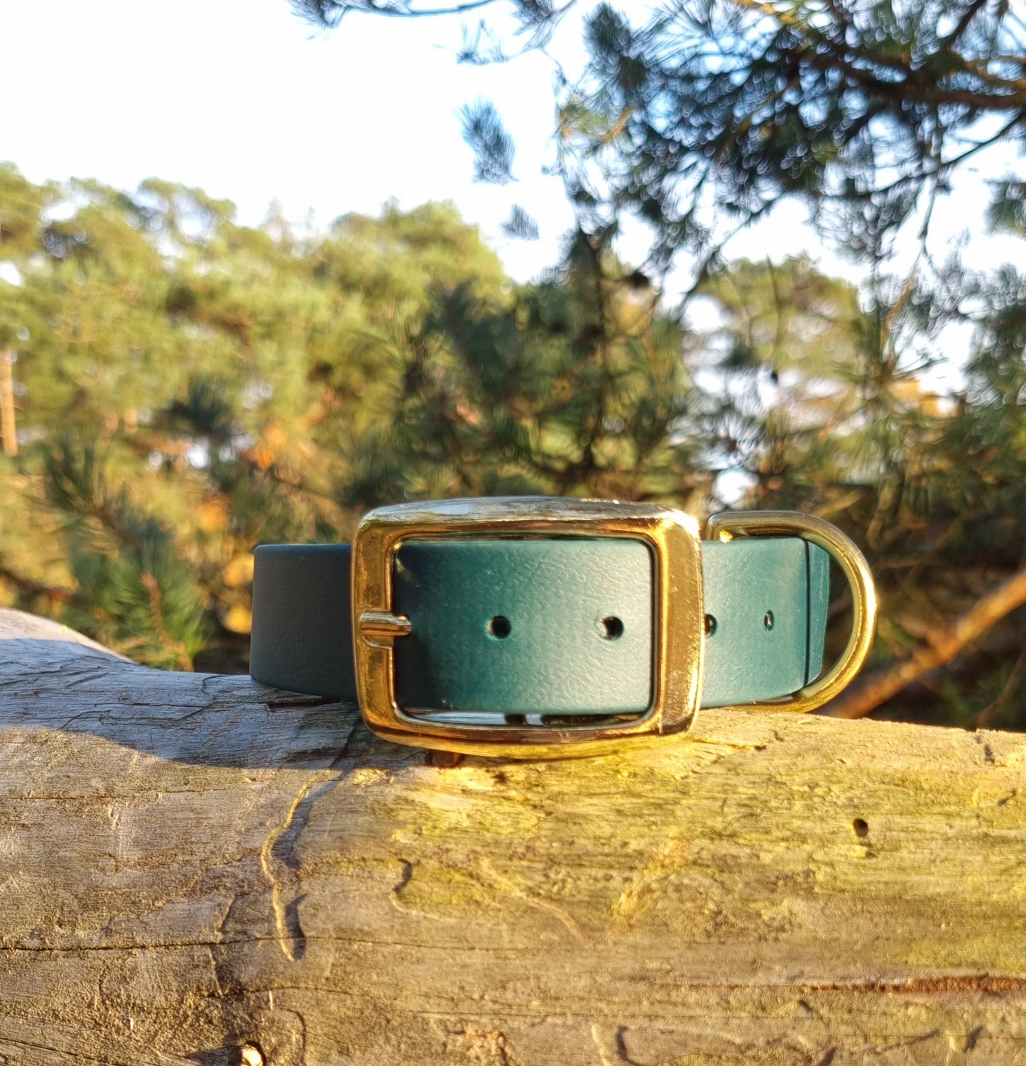 Klassieke donkergroene waterproof  halsband met gouden gesp  door Dazzling Dog