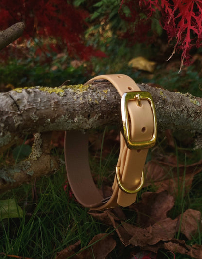 Tweekleurige halsbanden - beige-coyotebruin