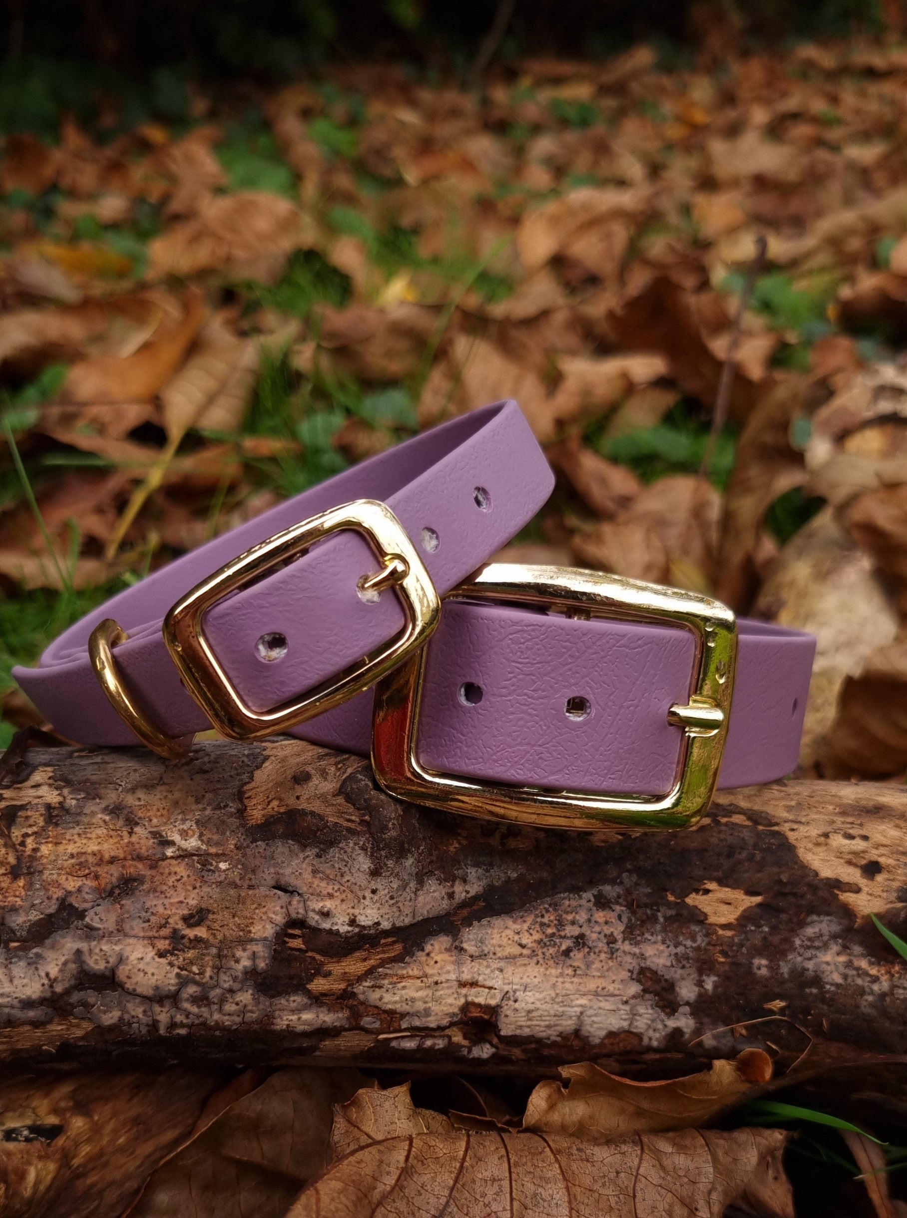 Klassieke mauve waterdichte Biothane halsband met gouden gesp van Dazzling Dog