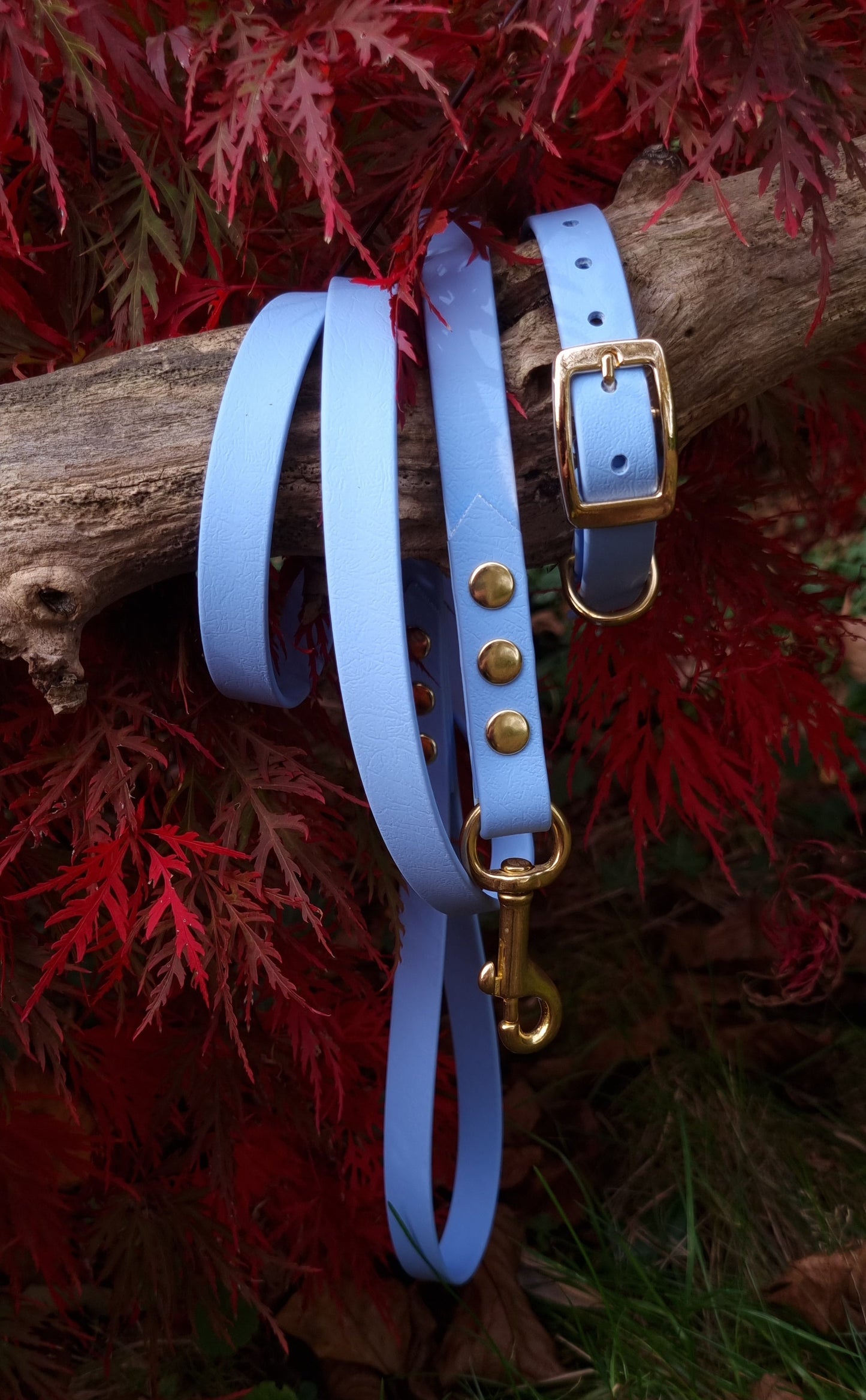 Klassieke blauwe waterproof  halsband en leiband set met gouden hardware door Dazzling Dog