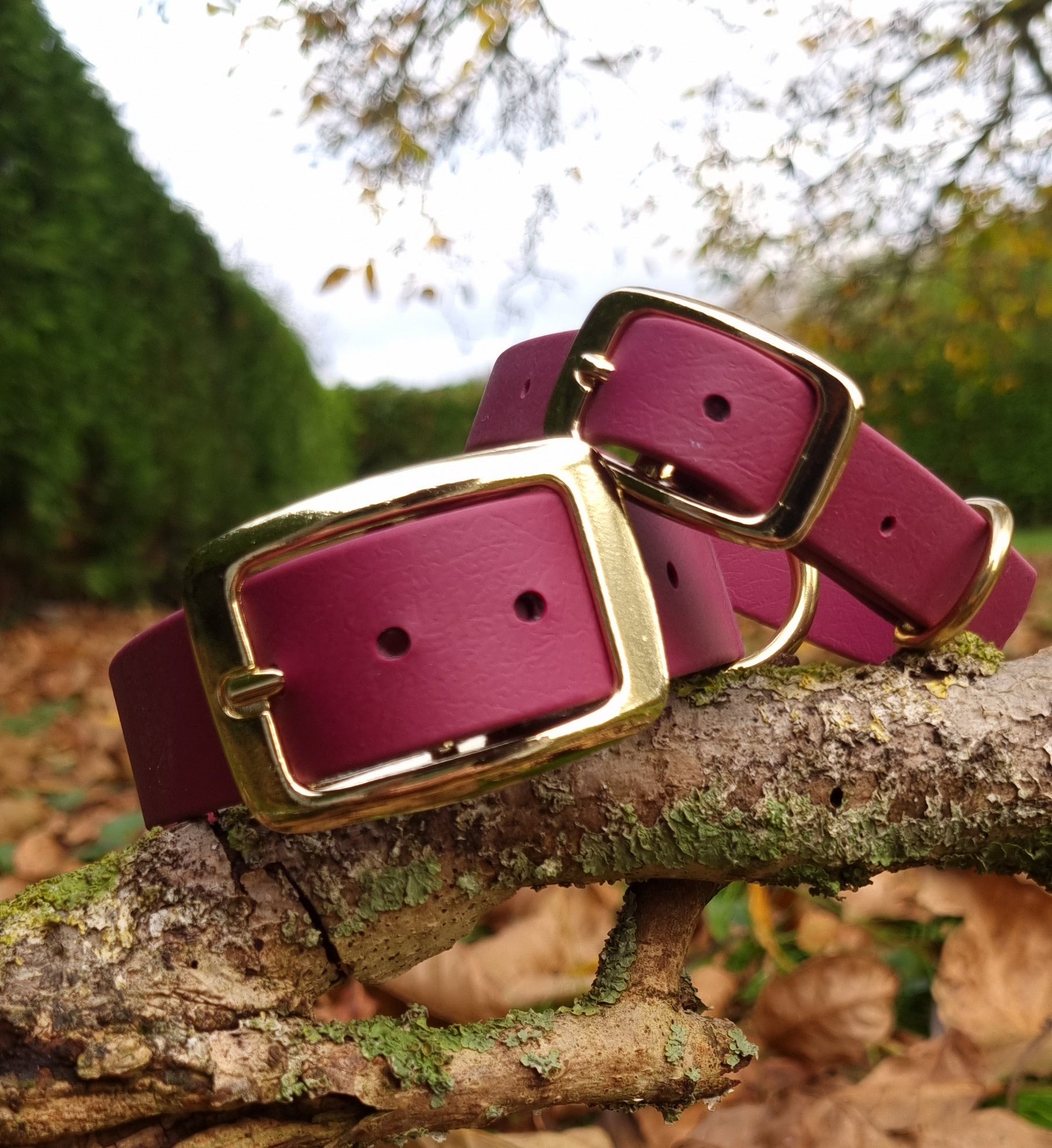 Klassieke rode waterproof  halsband met gouden gesp  door Dazzling Dog