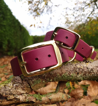 Klassieke rode waterproof  halsband met gouden gesp  door Dazzling Dog