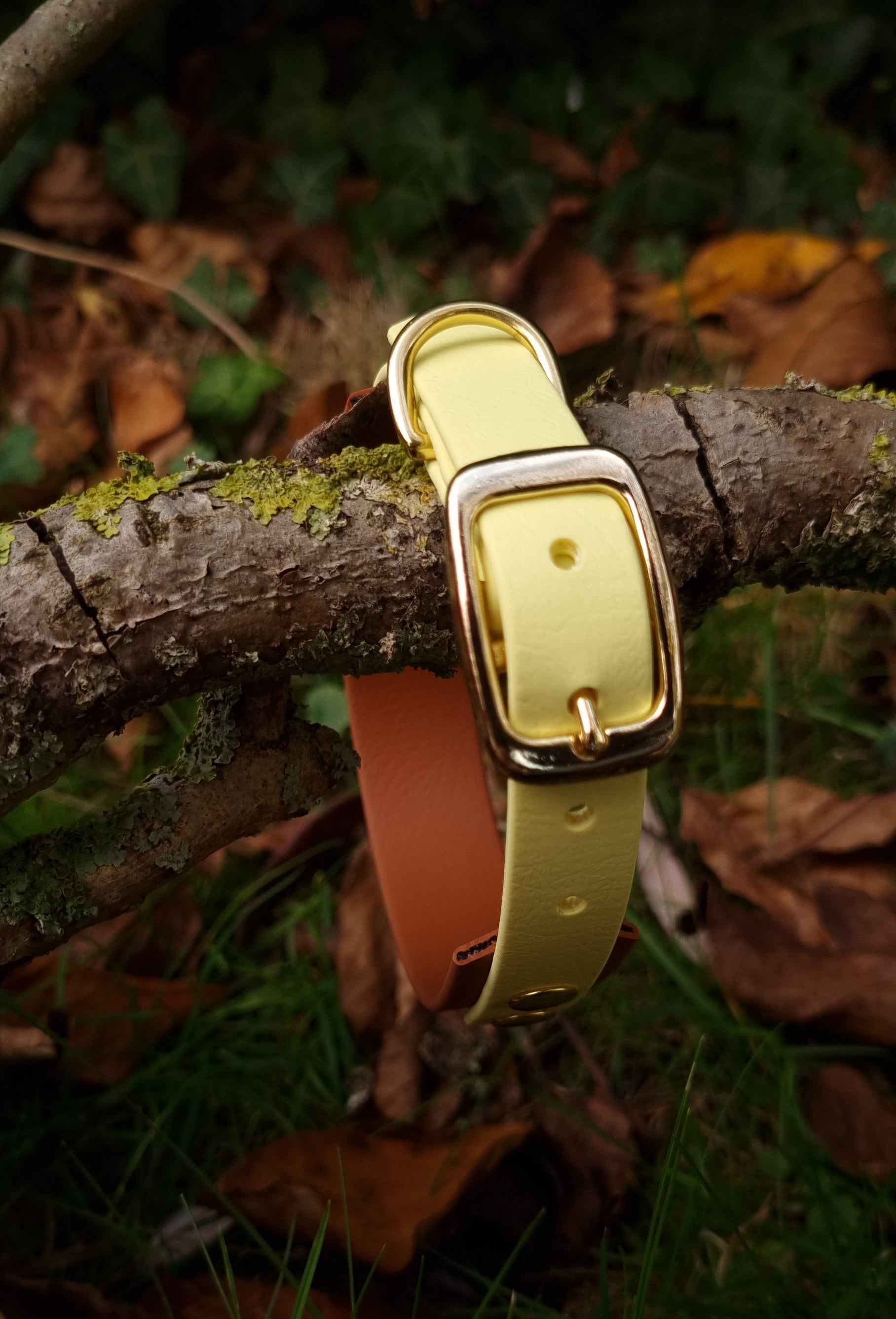 Handgemaakte geel bruine  waterdichte Biothane halsband met gouden gesp van Dazzling Dog.