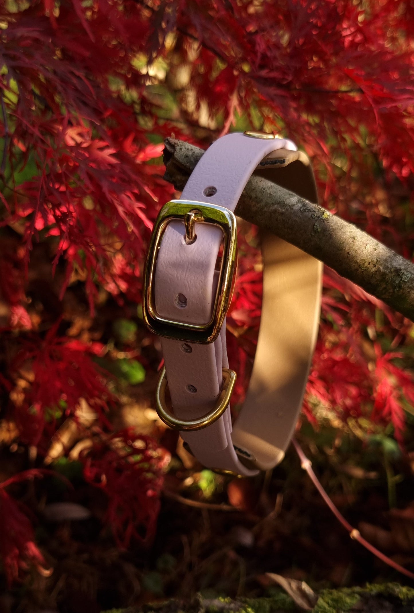 Handgemaakte lila bruine waterdichte Biothane halsband met gouden gesp van Dazzling Dog.