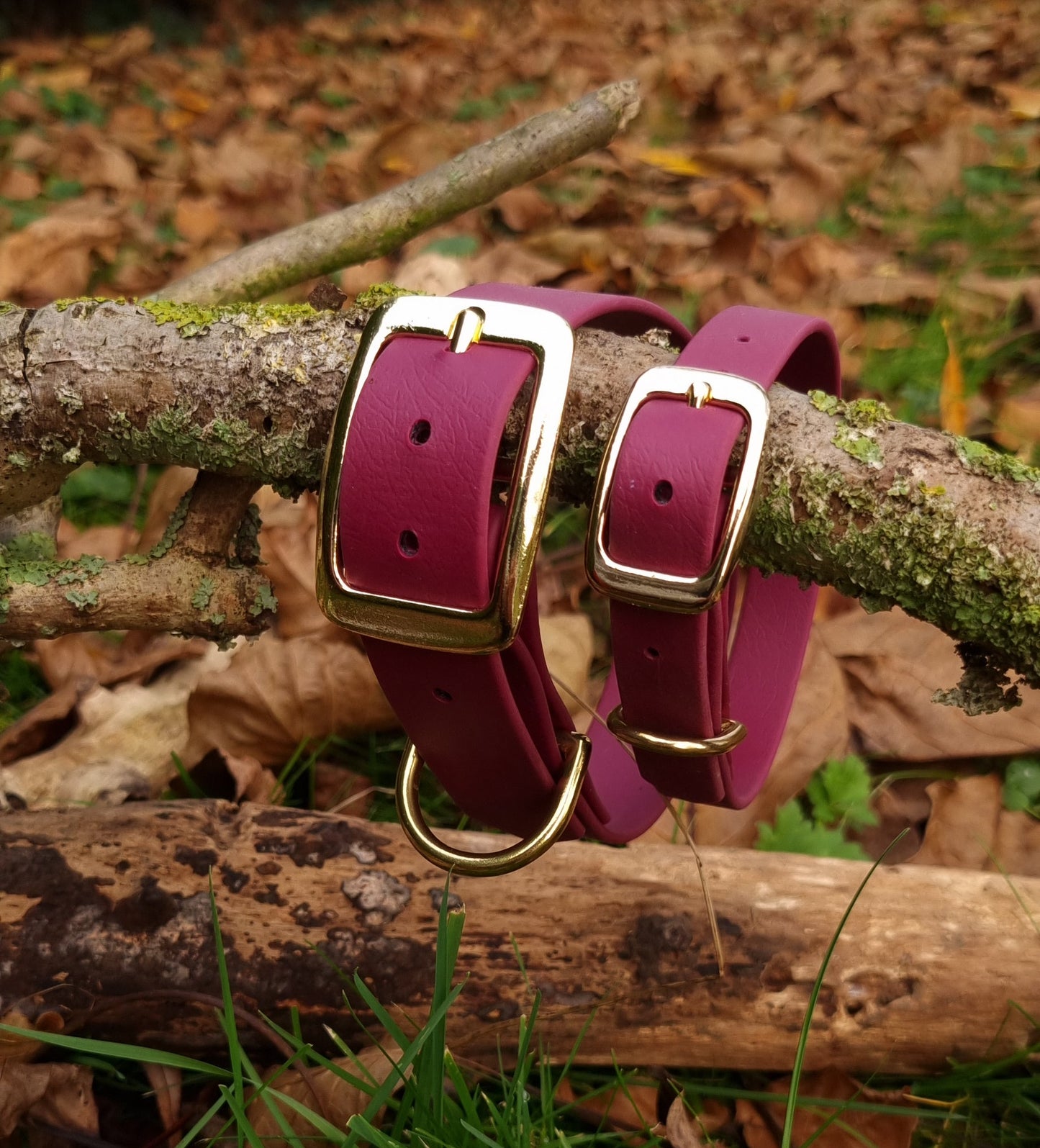 Klassieke rode waterproof  halsband met gouden gesp  door Dazzling Dog