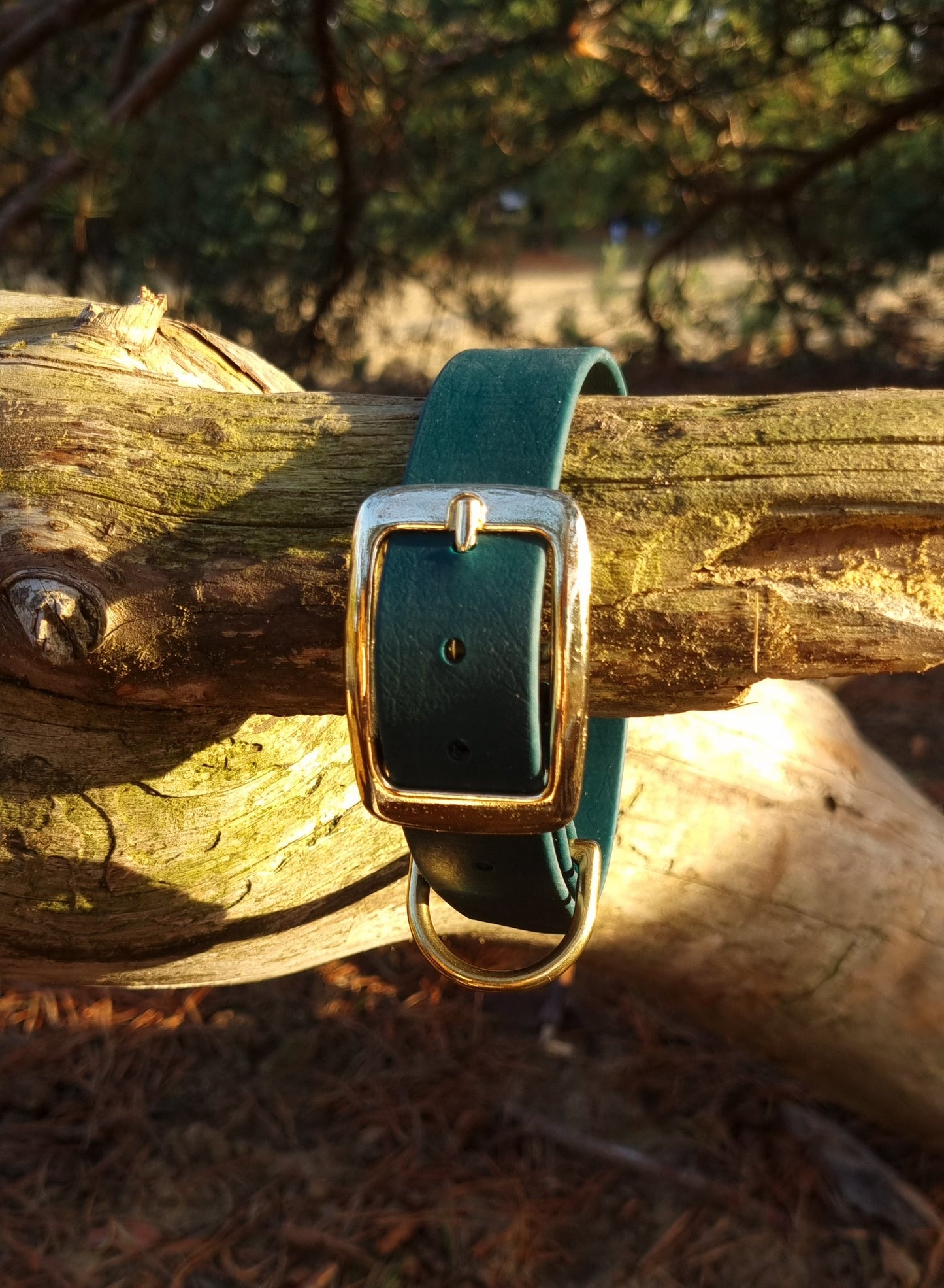 Klassieke donkergroene waterproof  halsband met gouden gesp  door Dazzling Dog