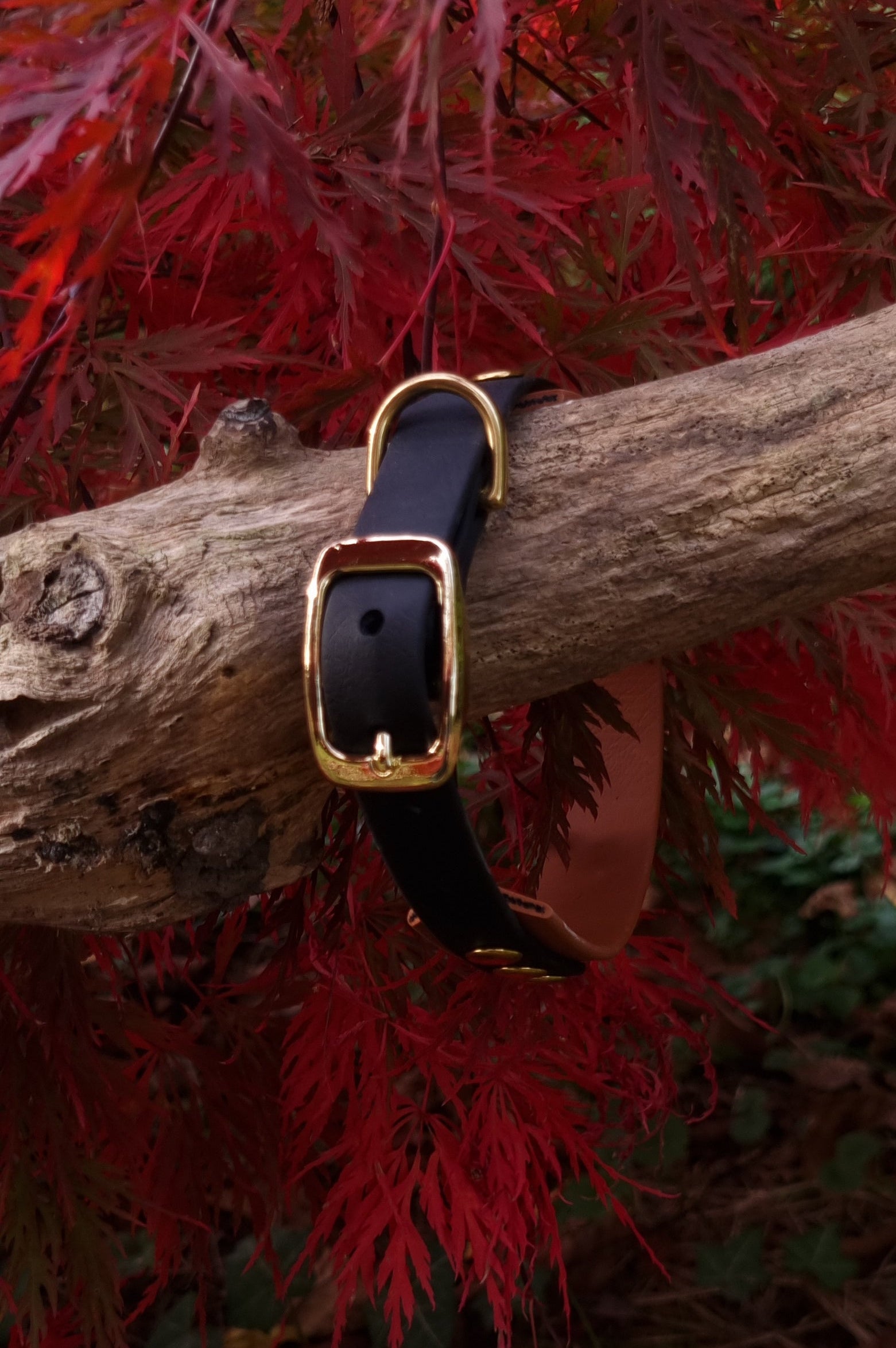 Handgemaakte waterdichte Biothane halsband in bruin zwart met gouden gesp van Dazzling Dog.