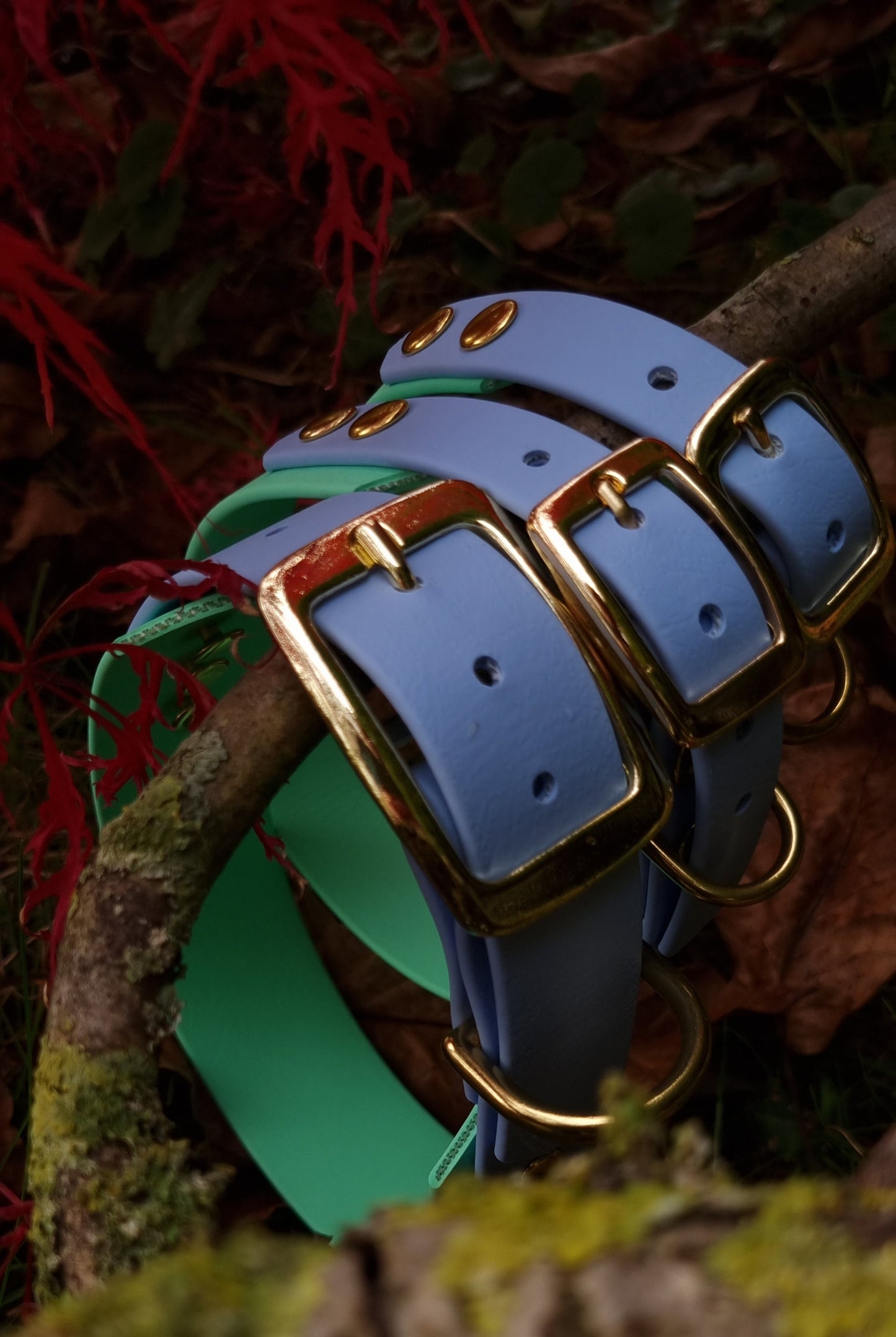 Handgemaakte blauw groene waterdichte Biothane halsband met gouden gesp van Dazzling Dog.